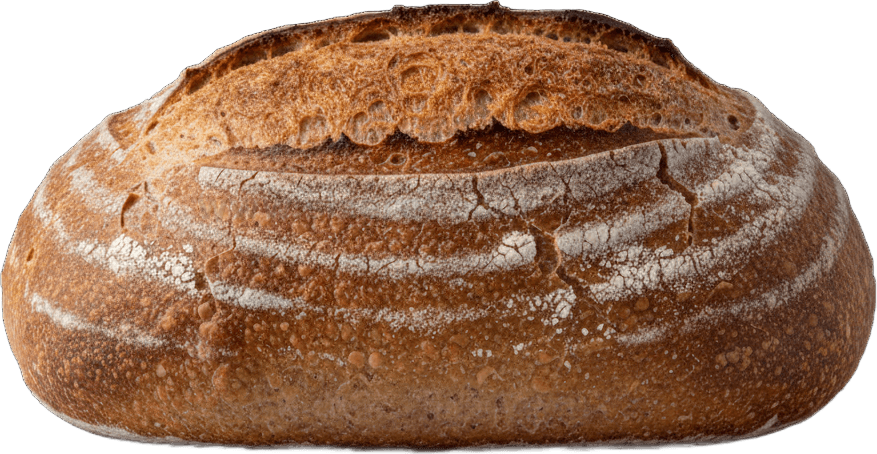 Bread scientific diagram preview