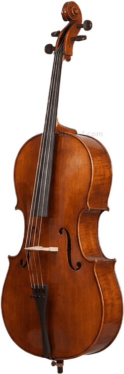 Cello size