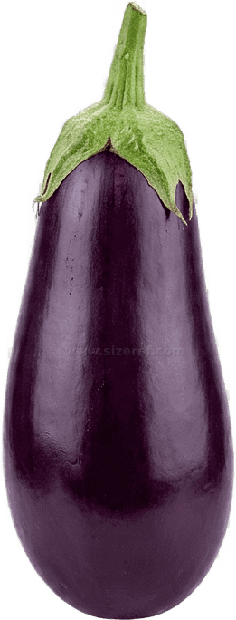 Eggplant size - 8.0 cm dimensions