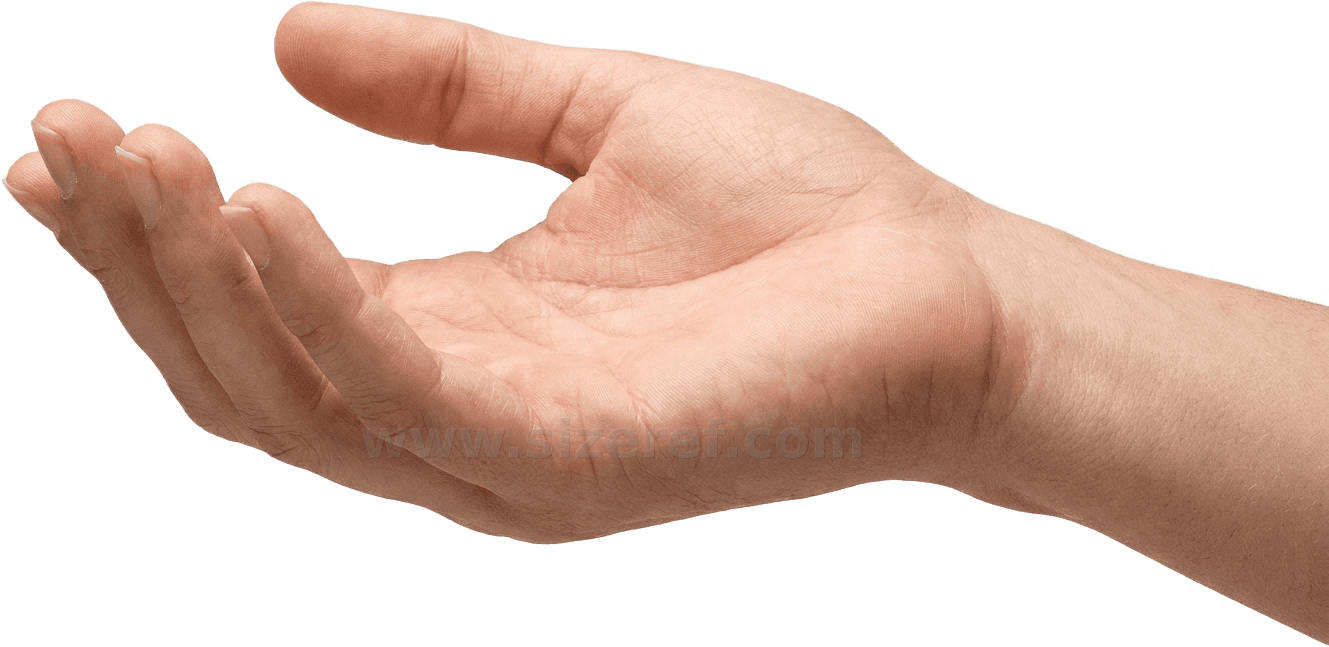 Human Hand size