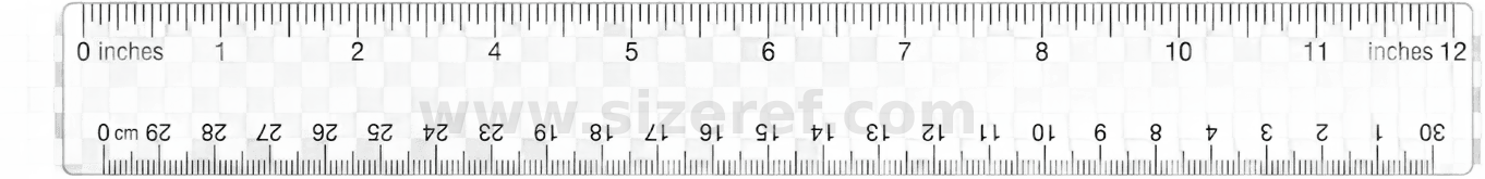 Ruler size