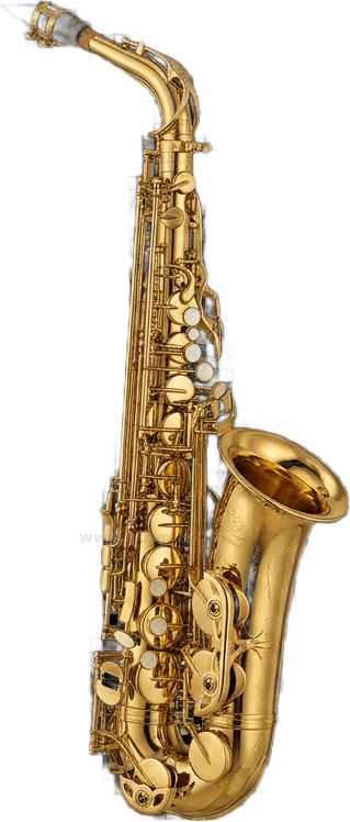 Saxophone size