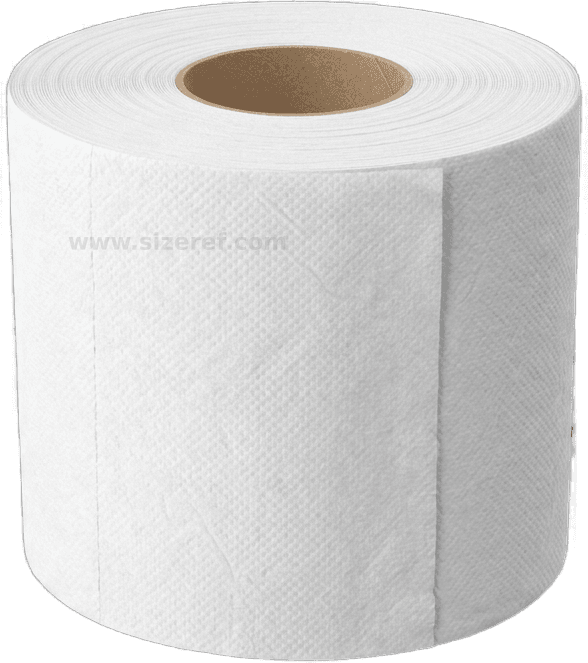 Toilet Paper Roll size