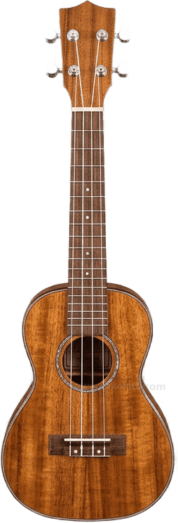Ukulele size